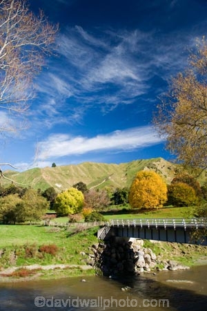 agricultural;agriculture;autuminal;autumn;autumn-colour;autumn-colours;autumnal;bridge;bridges;color;colors;colour;colours;country;countryside;deciduous;fall;farm;farming;farmland;farms;field;fields;Kakatahi;leaf;leaves;meadow;meadows;N.I.;N.Z.;New-Zealand;NI;North-Island;NZ;paddock;paddocks;pasture;pastures;rural;season;seasonal;seasons;State-Highway-4;tree;trees;Wanganui;Wanganui-_-Raetihi-Road;Wanganui-Region
