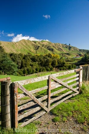 agricultural;agriculture;autuminal;autumn;autumn-colour;autumn-colours;autumnal;color;colors;colour;colours;country;countryside;deciduous;fall;farm;farming;farmland;farms;fence;fence-line;fence-lines;fence_line;fence_lines;fenceline;fencelines;fences;field;fields;gate;gates;gateway;gateways;leaf;leaves;meadow;meadows;N.I.;N.Z.;New-Zealand;NI;North-Island;NZ;paddock;paddocks;pasture;pastures;rural;season;seasonal;seasons;State-Highway-4;tree;trees;Wanganui;Wanganui-_-Raetihi-Road;Wanganui-Region