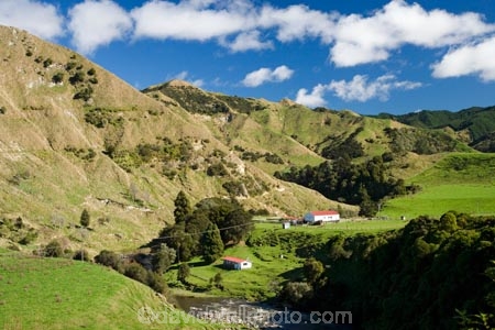 agricultural;agriculture;country;countryside;farm;Farm-Building;Farm-Buildings;Farm-Shed;Farm-Sheds;farming;farmland;farms;field;fields;Mangawhero-River;meadow;meadows;N.I.;N.Z.;New-Zealand;NI;North-Island;NZ;paddock;paddocks;pasture;pastures;rural;Shearing-Shed;Shearing-Sheds;Sheep-Shed;Sheep-Sheds;State-Highway-4;Wanganui;Wanganui-_-Raetihi-Road;Wanganui-Region;Wool-Shed;Wool-Sheds