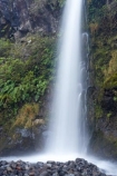 cascade;cascades;creek;creeks;Dawson-Falls;Egmont-N.P.;Egmont-National-Park;Egmont-NP;falls;Mount-Egmont;Mount-Taranaki;Mount-Taranaki-Egmont;Mt-Egmont;Mt-Taranaki;Mt-Taranaki-Egmont;Mt.-Egmont;Mt.-Taranaki;Mt.-Taranaki-Egmont;N.I.;N.Z.;natural;nature;New-Zealand;NI;North-Is;North-Is.;North-Island;NZ;scene;scenic;stream;streams;Taranaki;water;water-fall;water-falls;waterfall;waterfalls;wet