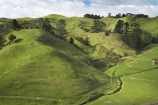 agricultural;agriculture;country;countryside;dairy-farm;dairy-farming;dairy-farms;farm;farming;farmland;farms;field;fields;grassy;green-grass;Inglewood;Kaimata;meadow;meadows;N.I.;N.Z.;New-Zealand;NI;North-Is;North-Is.;North-Island;NZ;paddock;paddocks;pasture;pastures;Ratapiko;rural;Taranaki