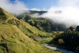 agricultural;agriculture;cloud;clouds;cloudy;country;countryside;farm;farming;farmland;farms;field;fields;fog;foggy;fogs;Mangawhero-River;Mangawhero-Valley;meadow;meadows;mist;mists;misty;N.I.;N.Z.;New-Zealand;NI;North-Island;NZ;paddock;paddocks;pasture;pastures;rural;Wanganui;Wanganui-Region