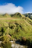 agricultural;agriculture;cloud;clouds;cloudy;country;countryside;farm;farming;farmland;farms;field;fields;fog;foggy;fogs;Mangawhero-River;Mangawhero-Valley;meadow;meadows;mist;mists;misty;N.I.;N.Z.;New-Zealand;NI;North-Island;NZ;paddock;paddocks;pasture;pastures;rural;Wanganui;Wanganui-Region