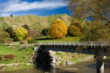 agricultural;agriculture;autuminal;autumn;autumn-colour;autumn-colours;autumnal;bridge;bridges;color;colors;colour;colours;country;countryside;deciduous;fall;farm;farming;farmland;farms;field;fields;Kakatahi;leaf;leaves;meadow;meadows;N.I.;N.Z.;New-Zealand;NI;North-Island;NZ;paddock;paddocks;pasture;pastures;rural;season;seasonal;seasons;State-Highway-4;tree;trees;Wanganui;Wanganui-_-Raetihi-Road;Wanganui-Region