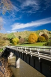 agricultural;agriculture;autuminal;autumn;autumn-colour;autumn-colours;autumnal;bridge;bridges;color;colors;colour;colours;country;countryside;deciduous;fall;farm;farming;farmland;farms;field;fields;Kakatahi;leaf;leaves;meadow;meadows;N.I.;N.Z.;New-Zealand;NI;North-Island;NZ;paddock;paddocks;pasture;pastures;rural;season;seasonal;seasons;State-Highway-4;tree;trees;Wanganui;Wanganui-_-Raetihi-Road;Wanganui-Region