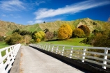 agricultural;agriculture;autuminal;autumn;autumn-colour;autumn-colours;autumnal;bridge;bridges;color;colors;colour;colours;country;countryside;deciduous;fall;farm;farming;farmland;farms;field;fields;Kakatahi;leaf;leaves;meadow;meadows;N.I.;N.Z.;New-Zealand;NI;North-Island;NZ;paddock;paddocks;pasture;pastures;rural;season;seasonal;seasons;State-Highway-4;tree;trees;Wanganui;Wanganui-_-Raetihi-Road;Wanganui-Region