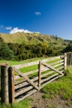 agricultural;agriculture;autuminal;autumn;autumn-colour;autumn-colours;autumnal;color;colors;colour;colours;country;countryside;deciduous;fall;farm;farming;farmland;farms;fence;fence-line;fence-lines;fence_line;fence_lines;fenceline;fencelines;fences;field;fields;gate;gates;gateway;gateways;leaf;leaves;meadow;meadows;N.I.;N.Z.;New-Zealand;NI;North-Island;NZ;paddock;paddocks;pasture;pastures;rural;season;seasonal;seasons;State-Highway-4;tree;trees;Wanganui;Wanganui-_-Raetihi-Road;Wanganui-Region