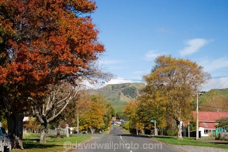 autuminal;autumn;autumn-colour;autumn-colours;autumnal;Central-Plateau;color;colors;colour;colours;deciduous;fall;leaf;leaves;N.I.;N.Z.;New-Zealand;NI;North-Island;NZ;Raetihi;road;roads;Ruapehu-Region;season;seasonal;seasons;street;streets;tree;trees