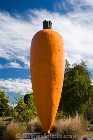 big-carrot-statue;big-carrot-statues;big-icons;carrot;carrots;Central-Plateau;giant-carrot-statue;giant-carrot-statues;icon;icons;N.I.;N.Z.;New-Zealand;NI;North-Island;NZ;Ohakune;orange;Ruapehu-Region;symbol;vegetable;vegetables