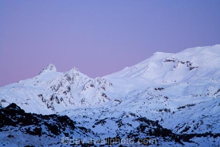 alpine;central-plateau;cold;dusk;evening;freeze;freezing;indigo;lilac;mauve;Mount-Ruapehu;Mountain;mountainous;mountains;mt;Mt-Ruapehu;mt.;Mt.-Ruapehu;N.I.;N.Z.;New-Zealand;NI;night;night-time;North-Island;NZ;pink;Pinnacle-Ridge;purple;ruapehu-district;season;seasonal;seasons;Ski-Areas;Ski-Fields;snow;snowing;snowy;Tongariro-N.P.;Tongariro-National-Park;Tongariro-NP;twilight;violet;volcanic;volcanic-plateau;volcano;volcanoes;Whakapapa-Ski-Area;Whakapapa-Skifield;white;winter;wintery;World-Heritage-Area;World-Heritage-Areas;World-Heritage-Site;World-Heritage-Sites