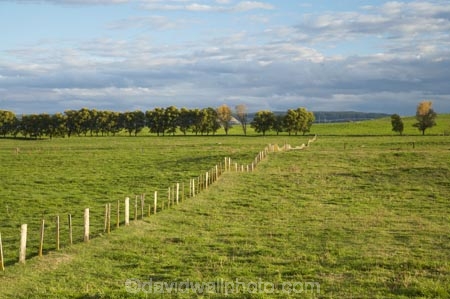 agricultural;agriculture;Central-North-Island;country;countryside;farm;farming;farmland;farms;fence;fence-line;fence-lines;fence_line;fence_lines;fenceline;fencelines;fences;field;fields;meadow;meadows;N.I.;N.Z.;New-Zealand;NI;North-Island;NZ;paddock;paddocks;pasture;pastures;rural;Taupo