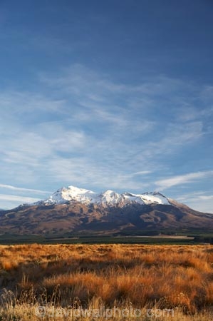 alpine;central-plateau;Mount-Ruapehu;Mountain;mountainous;mountains;mt;Mt-Ruapehu;mt.;Mt.-Ruapehu;N.I.;N.Z.;New-Zealand;NI;North-Island;NZ;ruapehu-district;snow;snow-tussock;snow-tussocks;Tongariro-N.P.;Tongariro-National-Park;Tongariro-NP;tussock;tussocks;volcanic;volcanic-plateau;volcano;volcanoes;World-Heritage-Area;World-Heritage-Areas;World-Heritage-Site;World-Heritage-Sites