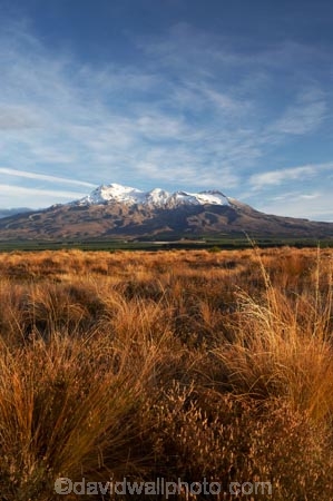 alpine;central-plateau;Mount-Ruapehu;Mountain;mountainous;mountains;mt;Mt-Ruapehu;mt.;Mt.-Ruapehu;N.I.;N.Z.;New-Zealand;NI;North-Island;NZ;ruapehu-district;snow;snow-tussock;snow-tussocks;Tongariro-N.P.;Tongariro-National-Park;Tongariro-NP;tussock;tussocks;volcanic;volcanic-plateau;volcano;volcanoes;World-Heritage-Area;World-Heritage-Areas;World-Heritage-Site;World-Heritage-Sites