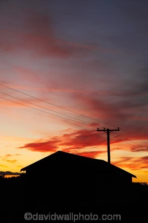 cloud;clouds;dusk;evening;Farm-Building;Farm-Buildings;Farm-Shed;Farm-Sheds;glow;line;lines;N.I.;N.Z.;New-Zealand;NI;nightfall;North-Island;NZ;Ohakune;orange;pole;poles;post;posts;power-line;power-lines;power-pole;power-poles;Ruapehu-District;Sheep-Shed;Sheep-Sheds;silhouette;silhouettes;sky;sunset;sunsets;telegraph-line;telegraph-lines;telegraph-pole;telegraph-poles;twilight;wire;wires;Wool-Shed;Wool-Sheds