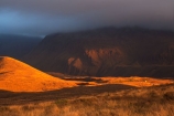 cloud;clouds;evening-light;fog;gold;golden;grass;grassland;hill;hills;light;parks;sunset;tussock;tussockland;twilight
