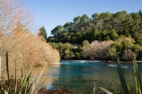 N.I.;N.Z.;New-Zealand;NI;North-Island;NZ;river;rivers;Taupo;Waikato-River