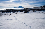 alpine;central-plateau;cold;foot-print;foot-prints;foot-step;foot-steps;foot-trail;foot-trails;footprint;footprints;footstep;footsteps;freeze;freezing;Mount-Ngauruhoe;Mountain;mountainous;mountains;mt;Mt-Ngauruhoe;Mt-Ruapehu;mt.;Mt.-Ngauruhoe;N.I.;N.Z.;New-Zealand;NI;North-Island;NZ;ruapehu-district;Scoria-Flat;Scoria-Flats;season;seasonal;seasons;snow;snowing;snowy;Tongariro-N.P.;Tongariro-National-Park;Tongariro-NP;track;tracks;trail;trails;volcanic;volcanic-plateau;volcano;volcanoes;white;winter;wintery;World-Heritage-Area;World-Heritage-Areas;World-Heritage-Site;World-Heritage-Sites
