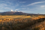 agricultural;agriculture;alpine;central-plateau;country;countryside;farm;farming;farmland;farms;field;fields;meadow;meadows;Mount-Ruapehu;Mountain;mountainous;mountains;mt;Mt-Ruapehu;mt.;Mt.-Ruapehu;N.I.;N.Z.;New-Zealand;NI;North-Island;NZ;paddock;paddocks;pasture;pastures;ruapehu-district;rural;sheep;snow;Tongariro-N.P.;Tongariro-National-Park;Tongariro-NP;volcanic;volcanic-plateau;volcano;volcanoes;World-Heritage-Area;World-Heritage-Areas;World-Heritage-Site;World-Heritage-Sites