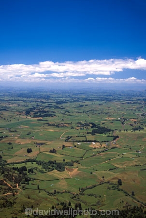 agriculture;farm;farms;fence;fenceline;fences;field;fields;grass;green;hedgerow;hedgerows;lush;meadow;meadows;paddock;paddocks;pasture;pastures;plain;plains;rural;spring;verdant