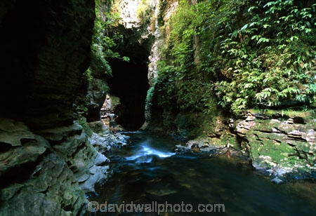 bush;cavern;caverns;caves;creek;creeks;flora;native;natural;person;rocks;rocky;streams;tourist;tunnel;undergrowth;water