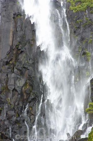 beautiful;beauty;blow;blowing;brook;brooks;bush;cascade;cascades;creek;creeks;doc;endemic;falls;fern;ferns;forest;forests;green;gust;gusty;hiking-track;hiking-tracks;Kaimai-Ranges;lush;Matamata;moss;native;native-bush;native-forest;natives;natural;nature;New-Zealand;north-is.;north-island;northland;rain-forest;rain-forests;rain_forest;rain_forests;rainforest;rainforests;rapid;rapids;river;rivers;scene;scenic;stream;streams;strong-wind;timber;tracks;tree;trees;verdant;Waikato;Wairere-Falls;Wairere-Falls-Scenic-Reserve;wairere-stream;walking-track;walking-tracks;water;water-fall;water-falls;waterfall;waterfalls;wet;wind;windy;wood;woods
