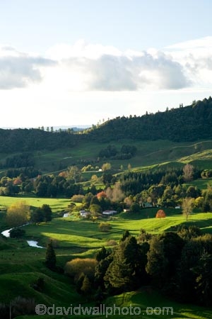 agricultural;agriculture;autuminal;autumn;autumn-colour;autumn-colours;autumnal;color;colors;colour;colours;country;countryside;deciduous;fall;farm;farming;farmland;farms;field;fields;green;King-Country;leaf;leaves;Mapara-Stream;meadow;meadows;N.I.;N.Z.;New-Zealand;NI;North-Island;NZ;paddock;paddocks;pasture;pastures;rural;season;seasonal;seasons;Te-Kuiti;tree;trees;Waikato-Region