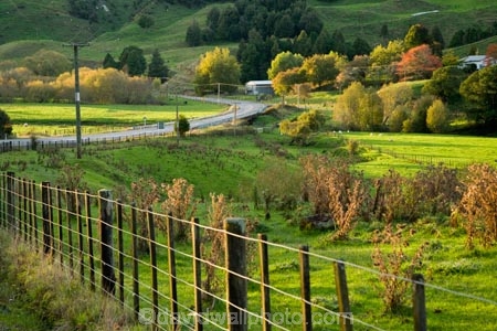 agricultural;agriculture;autuminal;autumn;autumn-colour;autumn-colours;autumnal;bend;bends;color;colors;colour;colours;corner;corners;country;countryside;deciduous;driving;fall;farm;farming;farmland;farms;fecnes;fence;fence-line;fence-lines;fenceline;fencelines;field;fields;green;highway;highways;King-Country;leaf;leaves;Mapara-Stream;meadow;meadows;N.I.;N.Z.;New-Zealand;NI;North-Island;NZ;open-road;open-roads;paddock;paddocks;pasture;pastures;road;road-trip;roads;rural;season;seasonal;seasons;straight;Te-Kuiti;transport;transportation;travel;traveling;travelling;tree;trees;trip;Waikato-Region