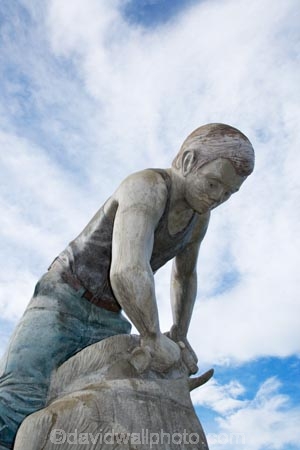 agricultural;agriculture;big-shearer-statue;farm;farming;farms;giant-shearer-statue;King-Country;N.I.;N.Z.;New-Zealand;NI;North-Island;NZ;rural;Shearer-Statue;shearers;shearing;statue;statues;Te-Kuiti;Waikato