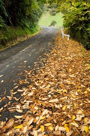 autuminal;autumn;autumn-colour;autumn-colours;autumnal;bend;bends;color;colors;colour;colours;corner;corners;deciduous;driving;fall;King-Country;leaf;leaves;Mokauiti;N.I.;N.Z.;New-Zealand;NI;North-Island;NZ;open-road;open-roads;Ramaroa-Road;road;road-trip;roads;season;seasonal;seasons;transport;transportation;travel;traveling;travelling;tree;trees;trip