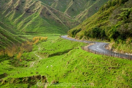 agricultural;agriculture;autuminal;autumn;autumn-colour;autumn-colours;autumnal;bend;bends;color;colors;colour;colours;corner;corners;country;countryside;deciduous;driving;fall;farm;farming;farmland;farms;field;fields;Forgotten-World-Highway;King-Country;leaf;leaves;meadow;meadows;N.I.;N.Z.;New-Zealand;NI;North-Island;NZ;open-road;open-roads;paddock;paddocks;Paparata-Saddle;pasture;pastures;road;road-trip;roads;rural;season;seasonal;seasons;Taumarunui-_-Stratford;transport;transportation;travel;traveling;travelling;tree;trees;trip