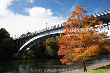 autuminal;autumn;autumn-colour;autumn-colours;autumnal;bridge;bridges;color;colors;colour;colours;deciduous;fall;Hamilton;leaf;leaves;N.I.;N.Z.;New-Zealand;NI;North-Island;NZ;orange;river;rivers;season;seasonal;seasons;tree;trees;Victoria-Bridge;Waikato;Waikato-River