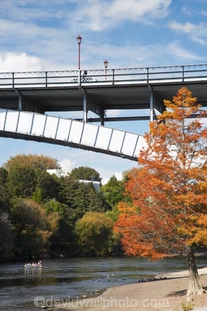 autuminal;autumn;autumn-colour;autumn-colours;autumnal;bridge;bridges;color;colors;colour;colours;deciduous;fall;Hamilton;leaf;leaves;N.I.;N.Z.;New-Zealand;NI;North-Island;NZ;orange;river;rivers;season;seasonal;seasons;tree;trees;Victoria-Bridge;Waikato;Waikato-River