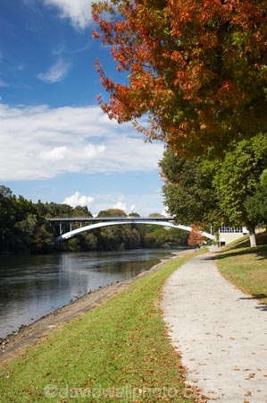 autuminal;autumn;autumn-colour;autumn-colours;autumnal;bridge;bridges;color;colors;colour;colours;deciduous;fall;Hamilton;leaf;leaves;N.I.;N.Z.;New-Zealand;NI;North-Island;NZ;path;paths;pathway;pathways;river;rivers;season;seasonal;seasons;tree;trees;Victoria-Bridge;Waikato;Waikato-River