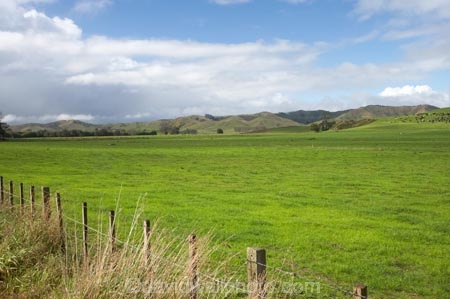 agricultural;agriculture;country;countryside;farm;farming;Farmland;farms;fence;fence-line;fence-lines;fence_line;fence_lines;fenceline;fencelines;fences;field;fields;Huntly;Lake-Waikare;meadow;meadows;N.I.;N.Z.;New-Zealand;NI;North-Island;NZ;paddock;paddocks;pasture;pastures;rural;Waikato