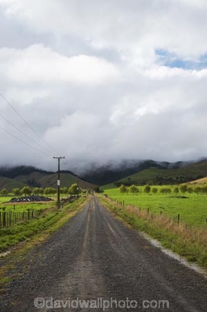 agricultural;agriculture;country;countryside;dusty;farm;farming;farmland;farms;field;fields;gravel-road;gravel-roads;line;lines;meadow;meadows;metal-road;metal-roads;metalled-road;metalled-roads;N.I.;N.Z.;New-Zealand;NI;North-Island;NZ;paddock;paddocks;pasture;pastures;pole;poles;post;posts;power-line;power-lines;power-pole;power-poles;road;roads;rural;telegraph-line;telegraph-lines;telegraph-pole;telegraph-poles;Waikato;wire;wires