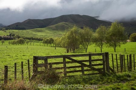 agricultural;agriculture;country;countryside;farm;farming;farmland;farms;fence;fence-line;fence-lines;fence_line;fence_lines;fenceline;fencelines;fences;field;fields;gate;gates;gateway;gateways;meadow;meadows;N.I.;N.Z.;New-Zealand;NI;North-Island;NZ;paddock;paddocks;pasture;pastures;rural;Waikato