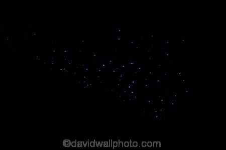cave;cavern;caverns;caves;caving;geographic;geographical;geography;geological-feature;geological-features;geological-formation;geological-formations;glow-worm;glow-worms;glow_worm;glow_worms;glowworm;glowworms;King-Country;limestone-cave;limestone-caves;luminocilty;luminous;N.I.;N.Z.;nature;New-Zealand;NI;North-Island;NZ;potholing;Ruakuri-Cave;Ruakuri-Caves;spelunk;spelunking;tourism;travel;under-ground;under_ground;underground;Waikato;Waitomo;Waitomo-Cave;Waitomo-Caves