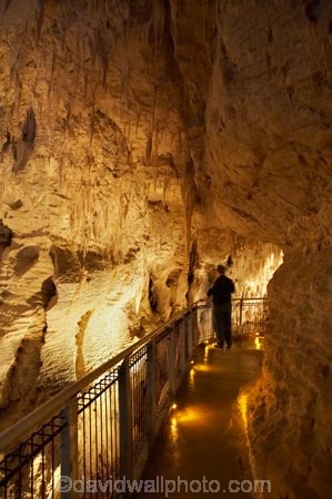 cave;cavern;caverns;caves;caving;geographic;geographical;geography;geological-feature;geological-features;geological-formation;geological-formations;King-Country;limestone-cave;limestone-caves;N.I.;N.Z.;nature;New-Zealand;NI;North-Island;NZ;people;person;potholing;Ruakuri-Cave;Ruakuri-Caves;spelunk;spelunking;stalactite;stalactites;stalagmite;stalagmites;tourism;tourist;tourists;travel;under-ground;under_ground;underground;Waikato;Waitomo;Waitomo-Cave;Waitomo-Caves