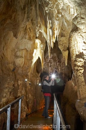 cave;cavern;caverns;caves;caving;geographic;geographical;geography;geological-feature;geological-features;geological-formation;geological-formations;King-Country;limestone-cave;limestone-caves;N.I.;N.Z.;nature;New-Zealand;NI;North-Island;NZ;people;person;potholing;Ruakuri-Cave;Ruakuri-Caves;spelunk;spelunking;stalactite;stalactites;stalagmite;stalagmites;tourism;tourist;tourists;travel;under-ground;under_ground;underground;Waikato;Waitomo;Waitomo-Cave;Waitomo-Caves