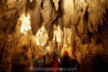 Aranui-Cave;Aranui-Caves;cave;cavern;caverns;caves;caving;geographic;geographical;geography;geological-feature;geological-features;geological-formation;geological-formations;King-Country;limestone-cave;limestone-caves;N.I.;N.Z.;nature;New-Zealand;NI;North-Island;NZ;people;person;potholing;spelunk;spelunking;stalactite;stalactites;stalagmite;stalagmites;tourism;tourist;tourists;travel;under-ground;under_ground;underground;Waikato;Waitomo;Waitomo-Cave;Waitomo-Caves
