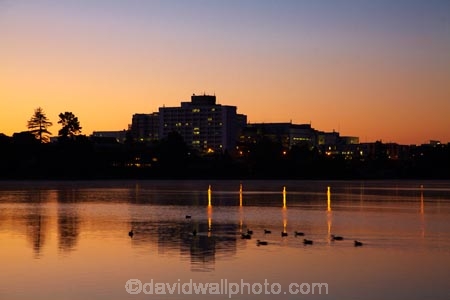 break-of-day;calm;dark;dawn;dawning;daybreak;early-morning;first-light;Hamilton-Hospital;Hamilton-Lake;Hamilton-Lake-Domain;hospiitals;hospital;lake;Lake-Hamilton;Lake-Rotoroa;lakes;light;lighting;lights;morning;N.Z.;New-Zealand;night;night-time;night_time;North-Is;North-Island;Nth-Is;NZ;orange;placid;quiet;reflected;reflection;reflections;serene;smooth;still;sunrise;sunrises;sunup;tranquil;twilight;Waikato;Waikato-DHB;Waikato-District-Health-Board;Waikato-Hospital;water