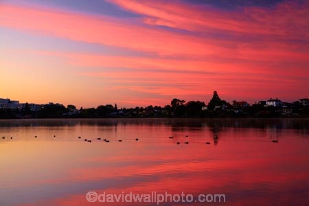 break-of-day;calm;dawn;dawning;daybreak;first-light;Hamilton-Lake;Hamilton-Lake-Domain;lake;Lake-Domain-Reserve;Lake-Hamilton;Lake-Rotoroa;lakes;morning;N.Z.;New-Zealand;North-Is;North-Island;Nth-Is;NZ;orange;pink;placid;quiet;reflected;reflection;reflections;serene;smooth;still;sunrise;sunrises;sunup;tranquil;twilight;Waikato;water