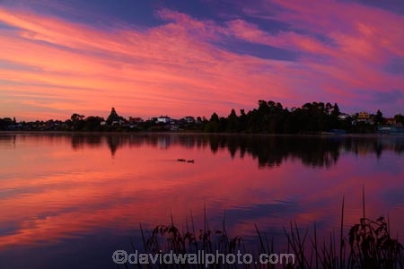 break-of-day;calm;dawn;dawning;daybreak;first-light;Hamilton-Lake;Hamilton-Lake-Domain;lake;Lake-Domain-Reserve;Lake-Hamilton;Lake-Rotoroa;lakes;morning;N.Z.;New-Zealand;North-Is;North-Island;Nth-Is;NZ;orange;pink;placid;quiet;reflected;reflection;reflections;serene;smooth;still;sunrise;sunrises;sunup;tranquil;twilight;Waikato;water