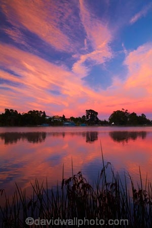 break-of-day;calm;dawn;dawning;daybreak;first-light;Hamilton-Lake;Hamilton-Lake-Domain;lake;Lake-Domain-Reserve;Lake-Hamilton;Lake-Rotoroa;lakes;morning;N.Z.;New-Zealand;North-Is;North-Island;Nth-Is;NZ;orange;pink;placid;quiet;reflected;reflection;reflections;serene;smooth;still;sunrise;sunrises;sunup;tranquil;twilight;Waikato;water