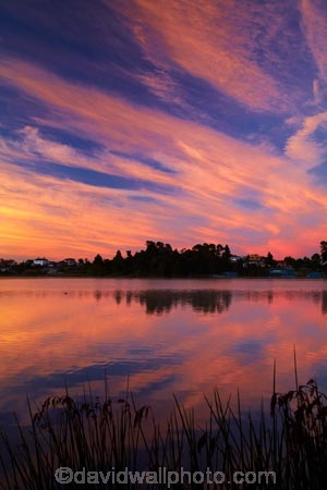 break-of-day;calm;dawn;dawning;daybreak;first-light;Hamilton-Lake;Hamilton-Lake-Domain;lake;Lake-Domain-Reserve;Lake-Hamilton;Lake-Rotoroa;lakes;morning;N.Z.;New-Zealand;North-Is;North-Island;Nth-Is;NZ;orange;pink;placid;quiet;reflected;reflection;reflections;serene;smooth;still;sunrise;sunrises;sunup;tranquil;twilight;Waikato;water