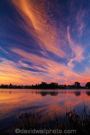 break-of-day;calm;dawn;dawning;daybreak;first-light;Hamilton-Lake;Hamilton-Lake-Domain;lake;Lake-Domain-Reserve;Lake-Hamilton;Lake-Rotoroa;lakes;morning;N.Z.;New-Zealand;North-Is;North-Island;Nth-Is;NZ;orange;pink;placid;quiet;reflected;reflection;reflections;serene;smooth;still;sunrise;sunrises;sunup;tranquil;twilight;Waikato;water