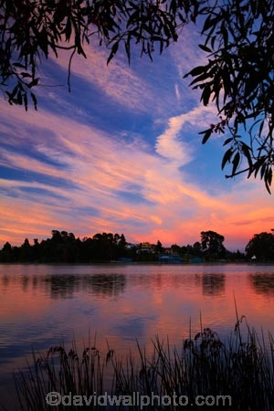 break-of-day;calm;dawn;dawning;daybreak;first-light;Hamilton-Lake;Hamilton-Lake-Domain;lake;Lake-Domain-Reserve;Lake-Hamilton;Lake-Rotoroa;lakes;morning;N.Z.;New-Zealand;North-Is;North-Island;Nth-Is;NZ;orange;pink;placid;quiet;reflected;reflection;reflections;serene;smooth;still;sunrise;sunrises;sunup;tranquil;twilight;Waikato;water