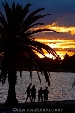 cloud;clouds;dusk;evening;Hamilton-Lake;Hamilton-Lake-Domain;lake;Lake-Domain-Reserve;Lake-Hamilton;Lake-Rotoroa;lakes;N.Z.;New-Zealand;night;night_time;nightfall;North-Is;North-Island;Nth-Is;NZ;palm;palm-tree;palm-trees;palms;people;person;sunset;sunsets;twilight;Waikato;walker;walkers