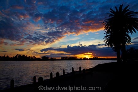 calm;cloud;clouds;dusk;evening;Hamilton-Lake;Hamilton-Lake-Domain;lake;Lake-Domain-Reserve;Lake-Hamilton;Lake-Rotoroa;lakes;N.Z.;New-Zealand;night;night_time;nightfall;North-Is;North-Island;Nth-Is;NZ;palm;palm-tree;palm-trees;palms;placid;quiet;reflected;reflection;reflections;serene;smooth;still;sunset;sunsets;tranquil;twilight;Waikato;water