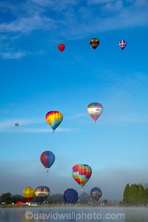 adventure;air;aviation;balloon;ballooning;balloons;Balloons-over-Waikato;Balloons-over-Waikato-Festival;flight;float;floating;fly;flying;Hamilton-Lake;Hamilton-Lake-Domain;hot-air-balloon;hot-air-ballooning;hot-air-balloons;Hot-Air-Balloons-over-Waikato;Hot_air-Balloon;hot_air-ballooning;hot_air-balloons;hotair-balloon;hotair-balloons;Innes-Common;lake;Lake-Domain-Reserve;Lake-Hamilton;Lake-Rotoroa;lakes;N.Z.;New-Zealand;North-Is;North-Island;Nth-Is;NZ;transport;transportation;Waikato;Waikato-Balloon-Festival;Waikato-Hot-Air-Balloon-Festival